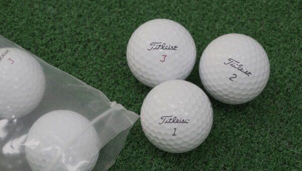 Titleist 타이틀리스트 골프공 로스트볼 화이트 (2)